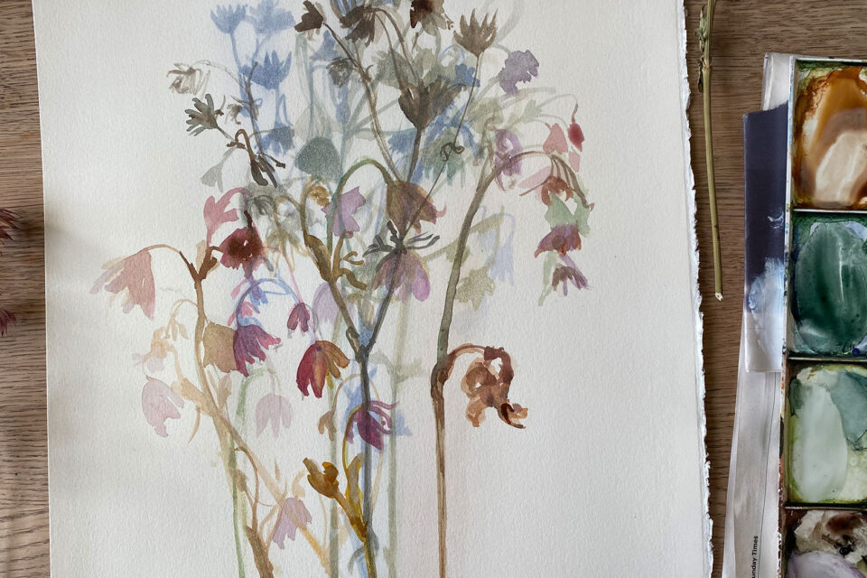 Botanical Painting Workshop